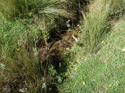 Fuente la Sabuqera - imagen 3