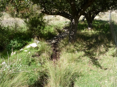 Fuente la Sabuqera - imagen 4