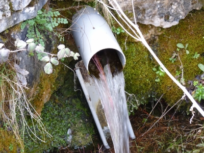 Fuente del Tío Amalio - imagen 2