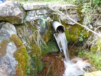 Fuente del Tío Amalio - imagen 4