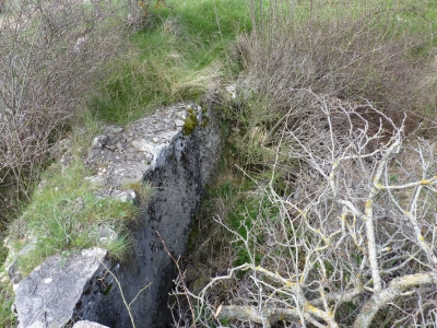 Fuente del Tío Isidro - imagen 1
