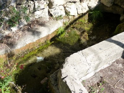 Fuente del Tío Lucio  - imagen 4