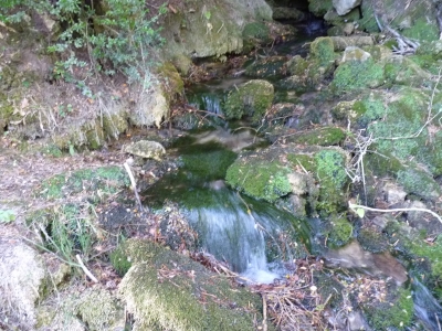 La Tobilla - imagen 2