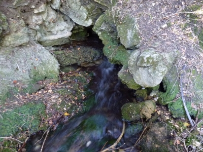 La Tobilla - imagen 3