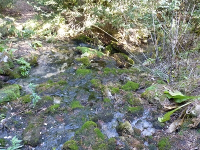 La Tobilla - imagen 4