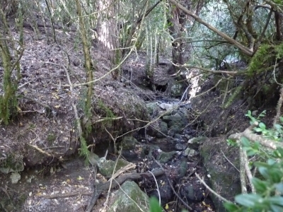 La Tobilla - imagen 5