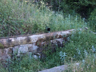 Fuente del Gamellón - imagen 1