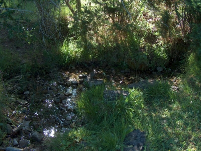 Fuente del Rincón de la Cañada del Zorío - imagen 2
