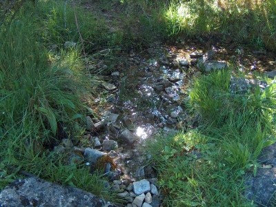 Fuente del Rincón de la Cañada del Zorío - imagen 3