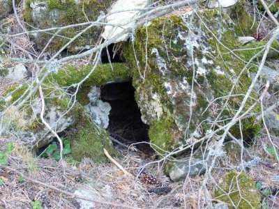 Fuente del Acebillo - imagen 2