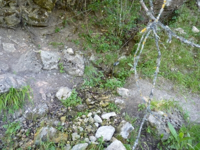 Fuente del Cura - imagen 1