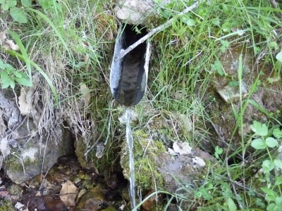 Fuente del Cura - imagen 2