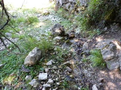 Fuente del Cura - imagen 3