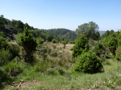 Fuente del Acebo - imagen 1