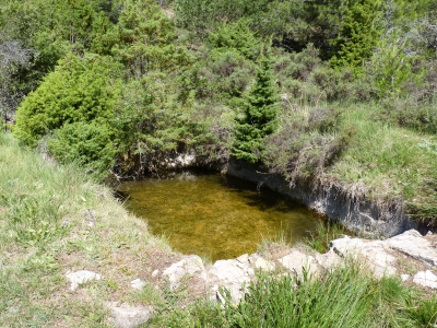 Fuente del Acebo - imagen 3