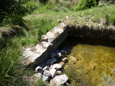 Fuente del Acebo - imagen 4