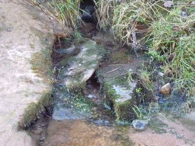 Fuente el Baño II - imagen 4