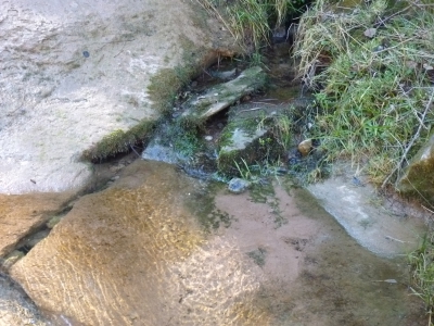 Fuente el Baño II - imagen 7