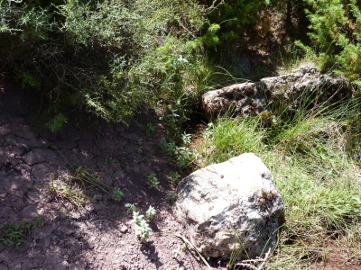 Fuente de la Canaleja - imagen 2