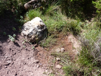 Fuente de la Canaleja - imagen 3