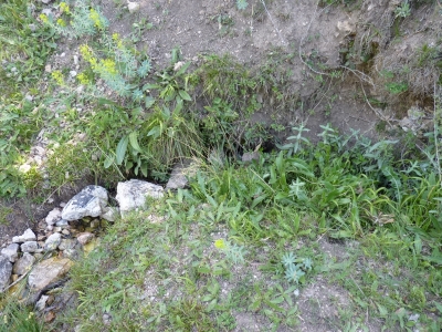 Fuente de los Hontanares I - imagen 1