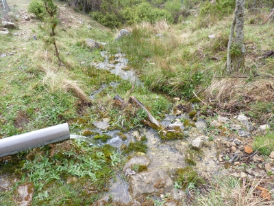 Fuente de la Noguera - imagen 2