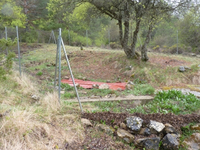 Fuente de la Noguera - imagen 5