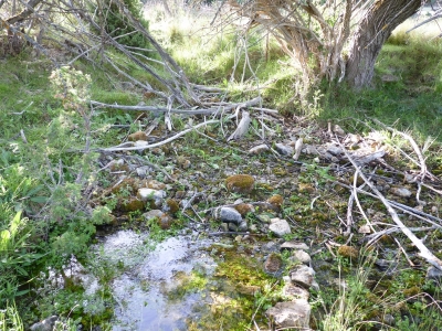 Fuente de las Nogueras de Abajo - imagen 1