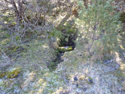 Fuente Pablo - imagen 1