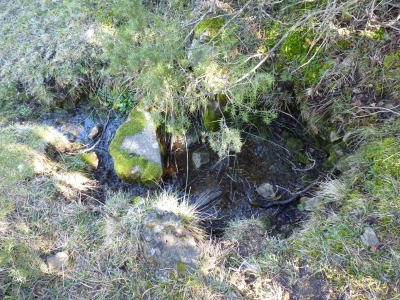 Fuente Pablo - imagen 2