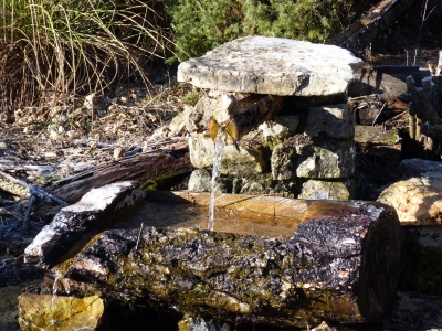 Fuente la Pegueruela - imagen 2