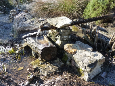 Fuente la Pegueruela - imagen 3