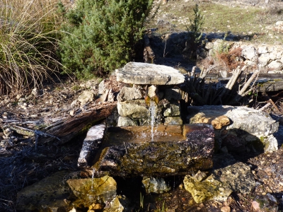 Fuente la Pegueruela - imagen 4