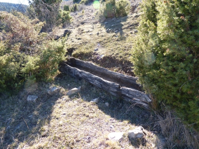 Fuente del Piojo - imagen 4