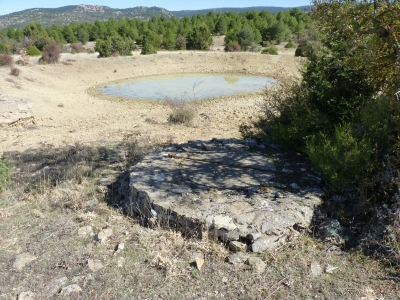 Pocillo de los Llanos - imagen 1
