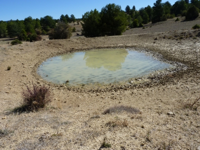 Pocillo de los Llanos - imagen 2