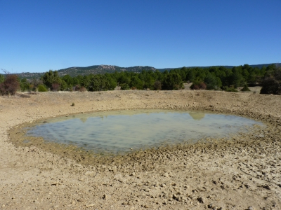 Pocillo de los Llanos - imagen 5