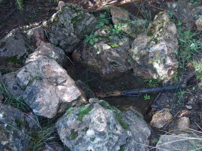 Fuente de la Sabina - imagen 3