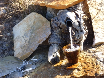 Fuente la Sobrante - imagen 4