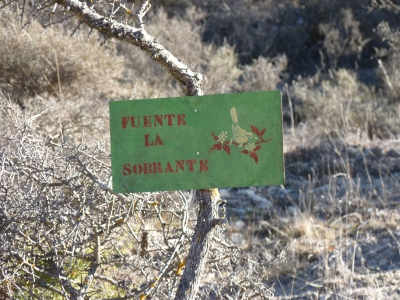 Fuente la Sobrante - imagen 6