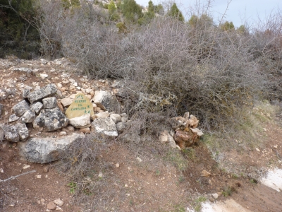 Fuente del Contairo - imagen 1