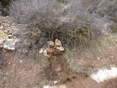 Fuente del Contairo - imagen 2