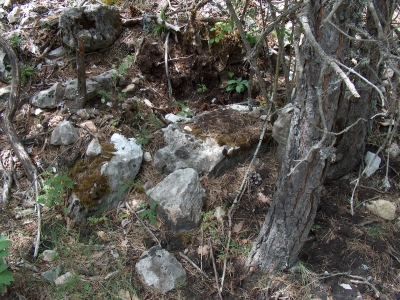 Fuente del Acebo - imagen 3