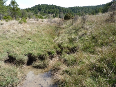 El Aguaerillo - imagen 2