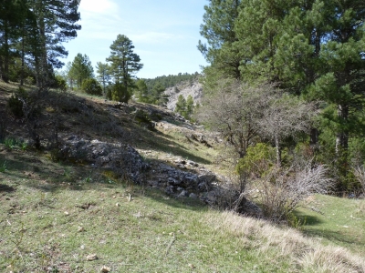 El Aguaerillo - imagen 3