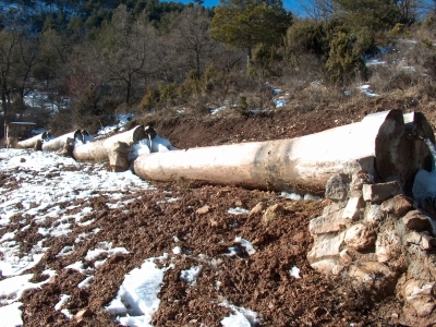 Fuente de la Barga I - imagen 3