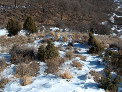 Fuente de la Barga II - imagen 1