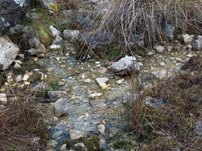Fuente del Barranco - imagen 3