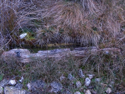 Fuente del Barranco - imagen 5