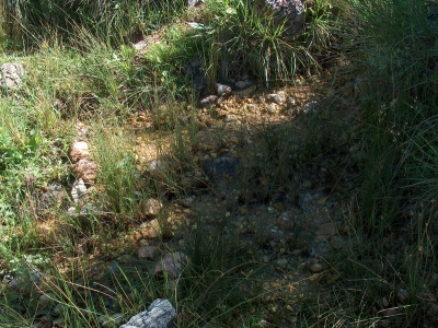 Fuente de las Canales - imagen 1
